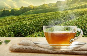 Organic Tea