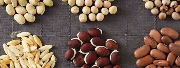 vegetable-seeds  