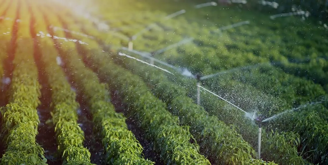 Agricultural Commodities
